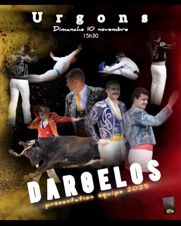 Dargelos presentation